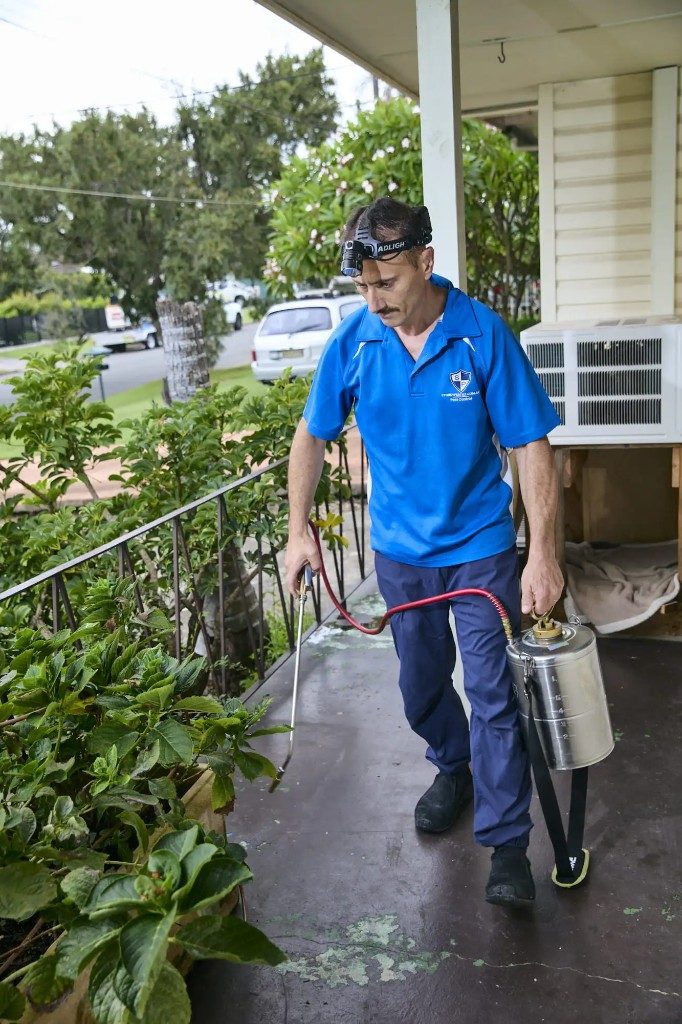 Sydney pest control technician treating garden perimeter for ants
