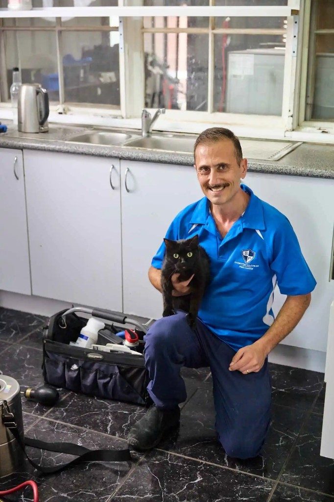Sydney Pesties technician holding a pet cat during pet-safe pest control in a Sydney kitchen