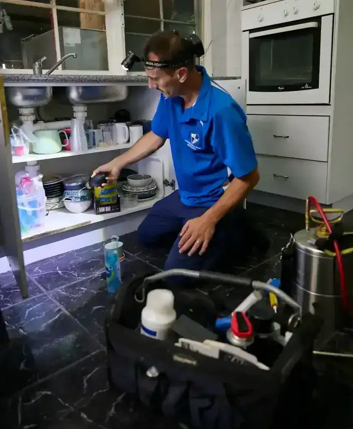 Sydney Pesties technician on the job