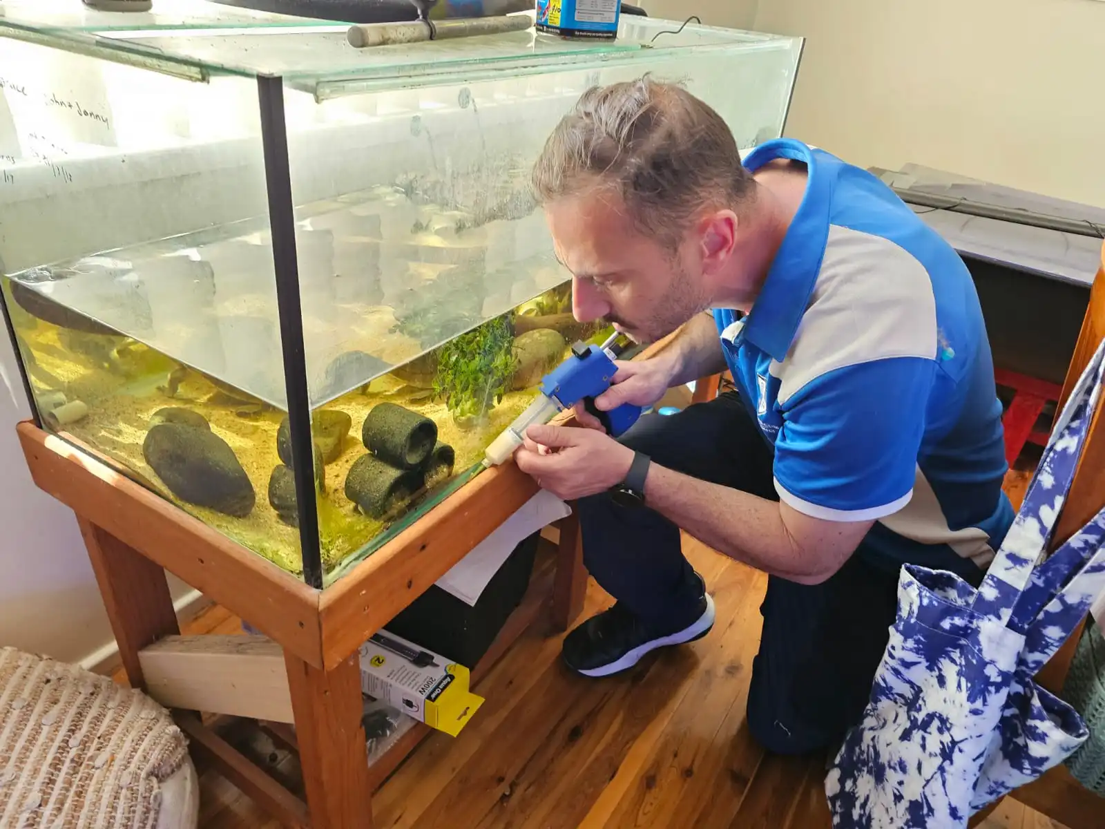 Affordable Pest Control Sydney
