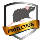 Pest Control Sydney